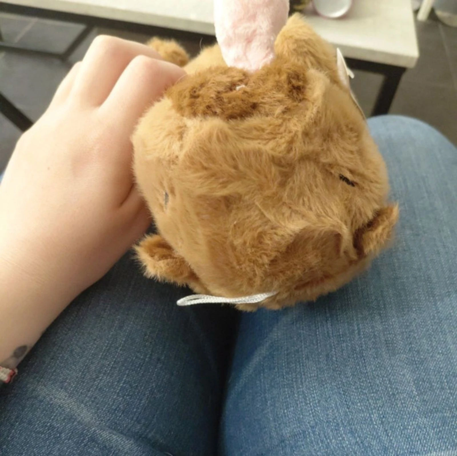 Peluche capivara – photo 5